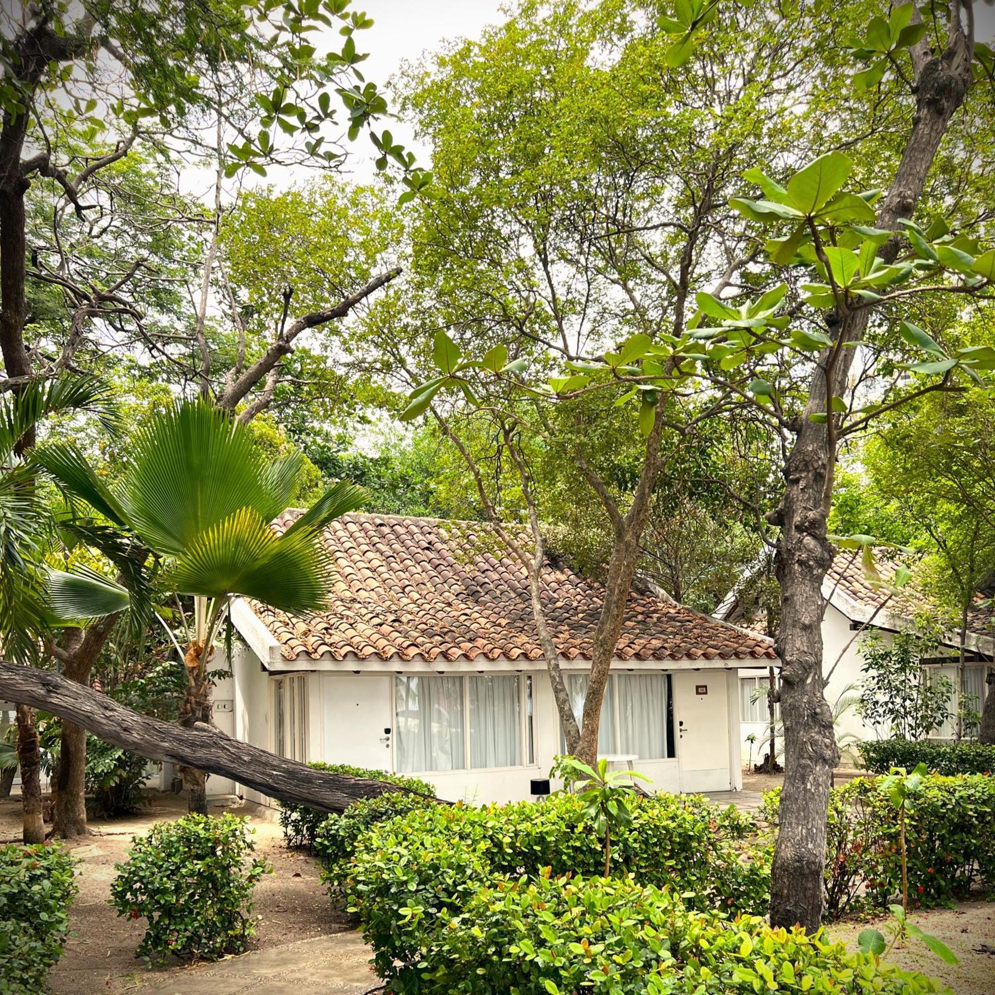 Hotel Irotama Bungalows & Bohios Santa Marta  Zewnętrze zdjęcie